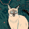 Leo Lee avatar