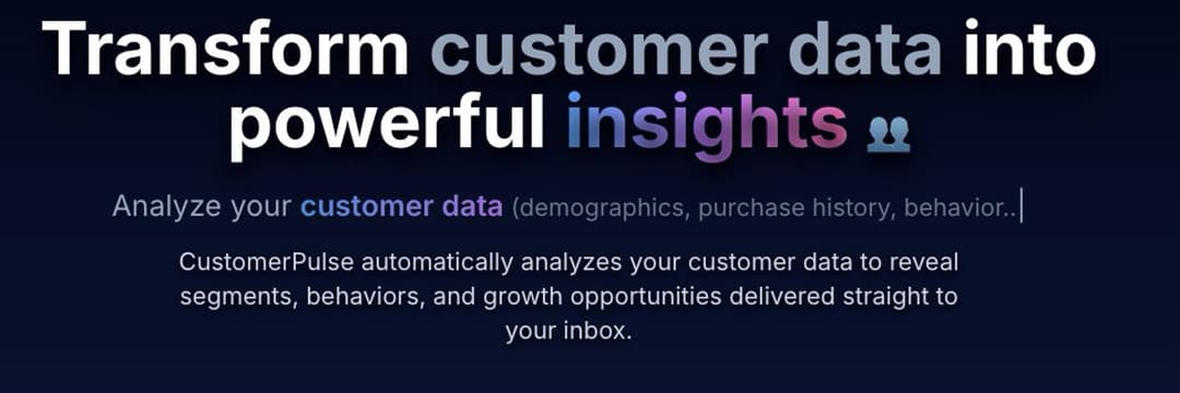Customer Pulse (AI Data Analyst) - Image 1