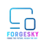 ForgeSky avatar