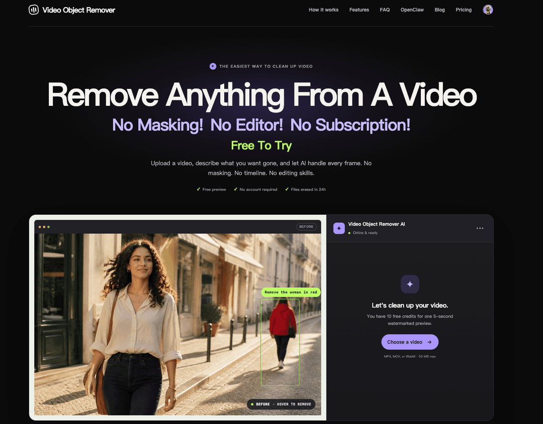 Video Object Remover - Image 1