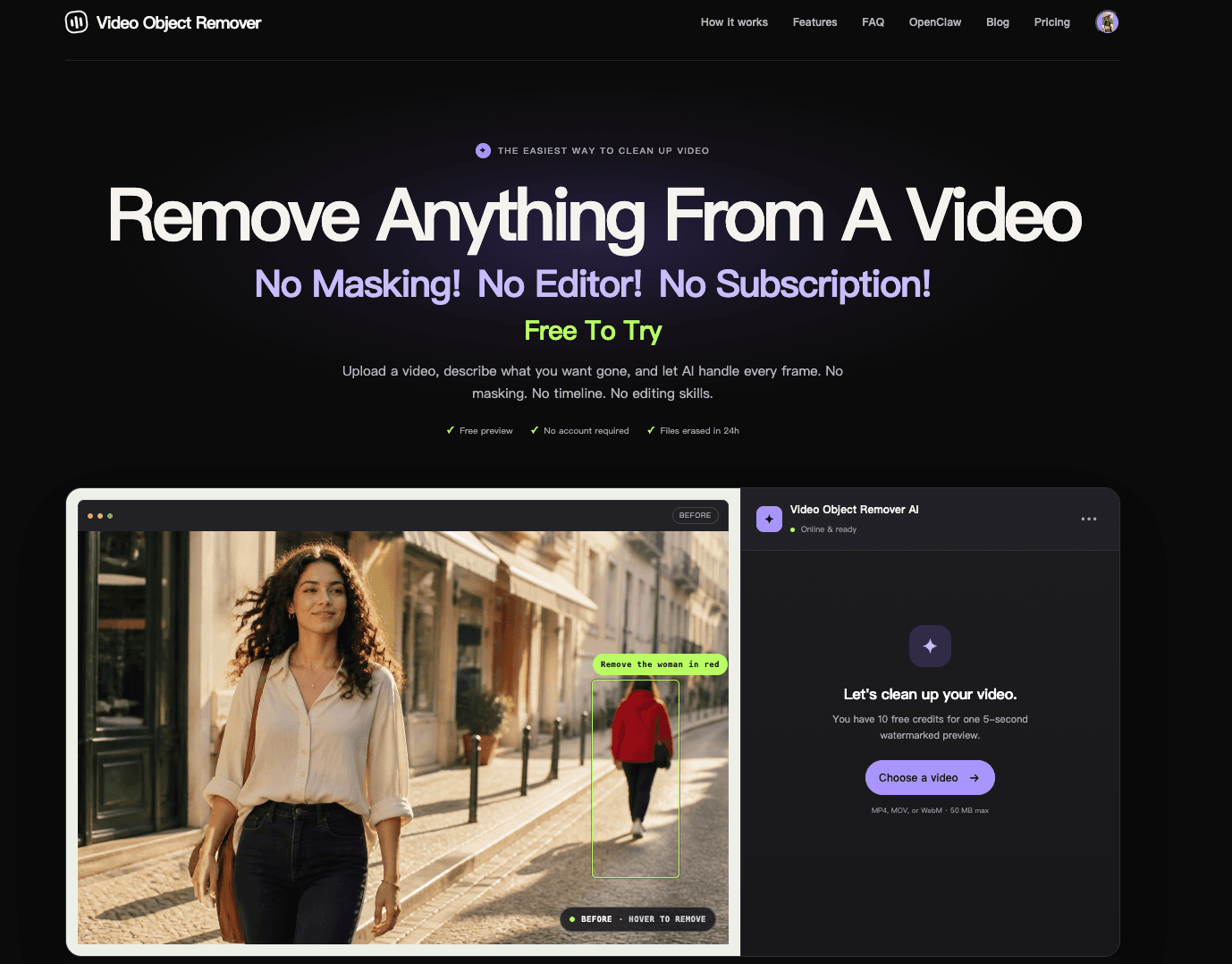 Video Object Remover - Image 1