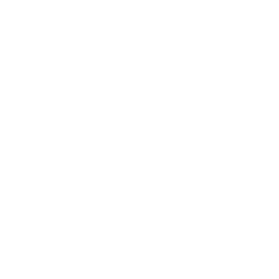 Everygen AI logo