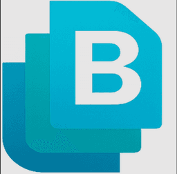 Bank Statement Boss logo